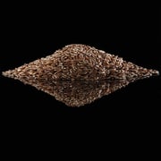 Flax Seed