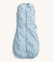 Sleep Sack 1.0 TOG Dragonflies