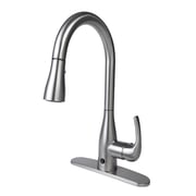 Flow Motion Activated Kitchen Faucet