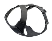 Recon Harness