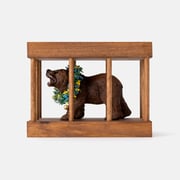 Bear in a Cage