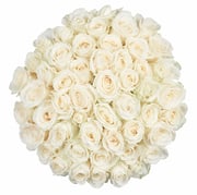 50 Stems Fresh White Roses