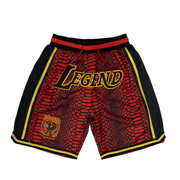 KOBE BRYANT YEAR OF THE MAMBA UNIVERSITY BASKETBALL SHORTS (RED)