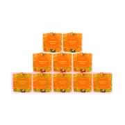 Sunshine Bears Perfect 10 Party Pack