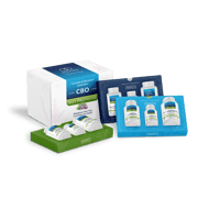 Candida & Bacterial Optimizer (CBO) Protocol