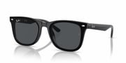 RB4420 Sunglasses