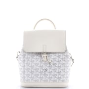 Alpin Backpack Coated Canvas Mini