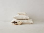 Organic Wool & Organic Buckwheat Bed Pillow