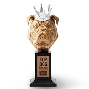 Character Champions Collection - Crowning Achievement