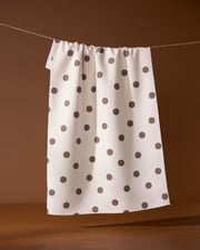 Polka Picnic