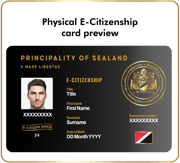 E-Citizenship