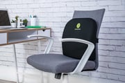 ErgoFoam Lumbar Support Pillow for Chair | Shop Online
