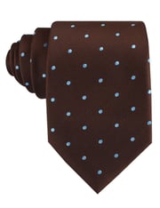 Brown on Blue Polkadot Tie