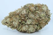 B-Good Bundle - CBG