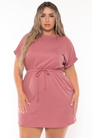 Plus Size Zenna   Sweatshirt  Dress - Mauve