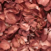 Terra Cotta Airbrushed Hydrangea Flower