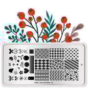 Noel 21 ✦ Nail Stamping Plate