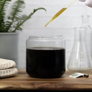 Carrot Seed Oil