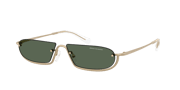 ARMANI EXCHANGE AX2058S Matte Pale Gold - Men Sunglasses, Green Lens