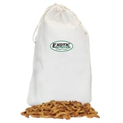 Large Live Mealworms (3/4")