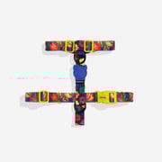 Samba | H Harness