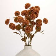 Chocolate Mum Mix Stem