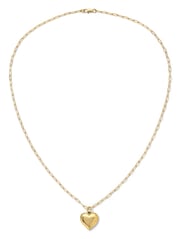 The Adhara Heart  Locket Necklace
