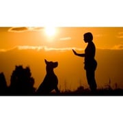 Train Yourself like a Dog