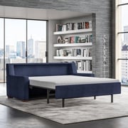 Lyons Comfort Sleeper