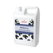 Mulberry Syrup | NEW