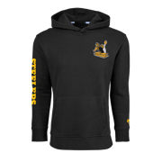 Pittsburgh Steelers Vintage Aspen Hoodie