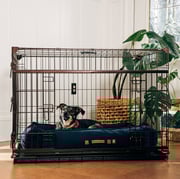 Lucky Dog® Dwell Series Crate® - Bronze Finish