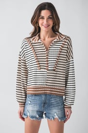 Bucketlist 1/4 Zip Stripe Sweatshirt