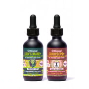 Performance Pack - Lion's Mane and Cordyceps
