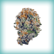 Blueberry Muffin