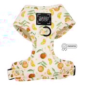 Dog Adjustable Harness - Simply the Zest