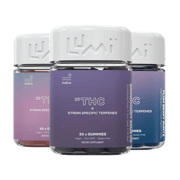Indica Bundle