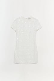 Clove Embellished Mini Dress