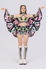 Pink Forester Wings