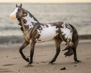 Stock Horse | Breyer 75th Anniversary