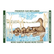 2025 Waterfowl Conservation Stamp