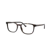 RB5418 OPTICS RB5418 2012 56-19