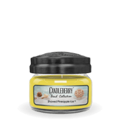 Beach Collection - Shaved Pineapple Ice™, Small Jar Candle