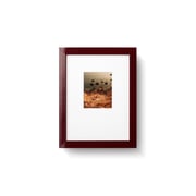 Mulberry Gloss