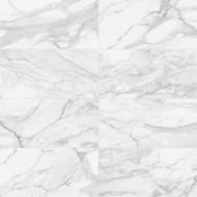 Regent Statuario Abisso 24-in x 48-in Polished Porcelain Marble Look Floor and Wall Tile (7.75-sq. ft/ Piece)