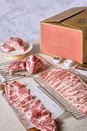 BBQ Grill Master Box