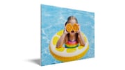 Metal Prints