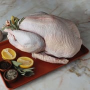 Heritage Turkey (Narragansett, Bourbon Red)