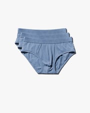 3 × Y-Brief