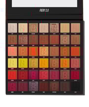 Fiery 2.0 42 Colour Palette  
